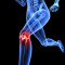 Knee & Joint Pain
